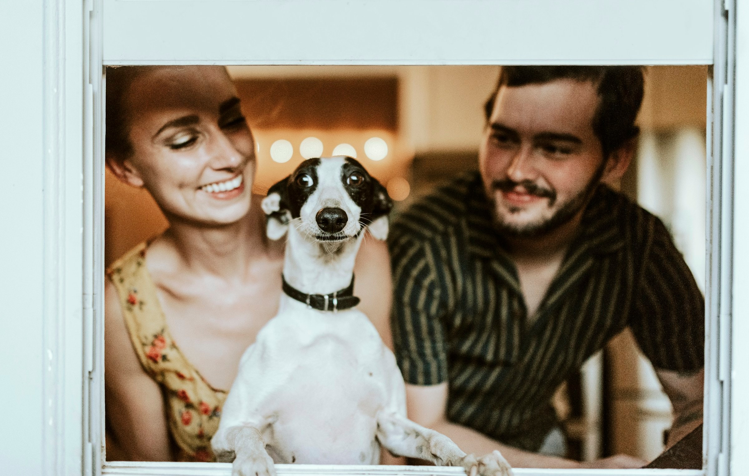 Curated pet supplies — collars, leashes, beds, bowls, toys